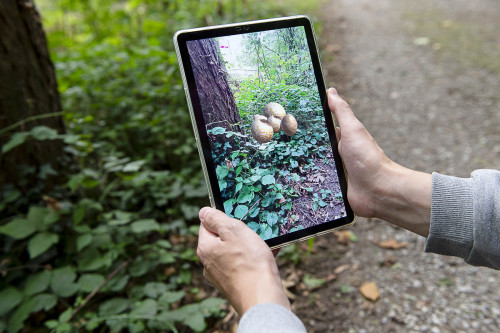 Zwei Hände halten ein Tablet in der Natur, durch das Tablet werden Augmentet Reality Objekte in das Bild gesetzt.