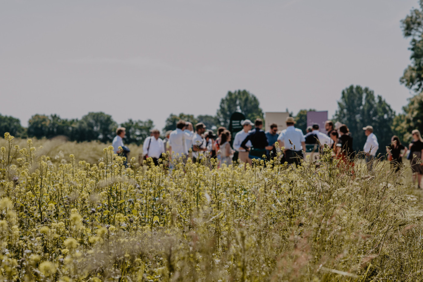 Personengruppe auf einem Feld