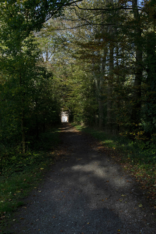 Eine Allee, ein Schotter Weg umgeben von Bäumen führt auf das Haus Rüschhaus zu.