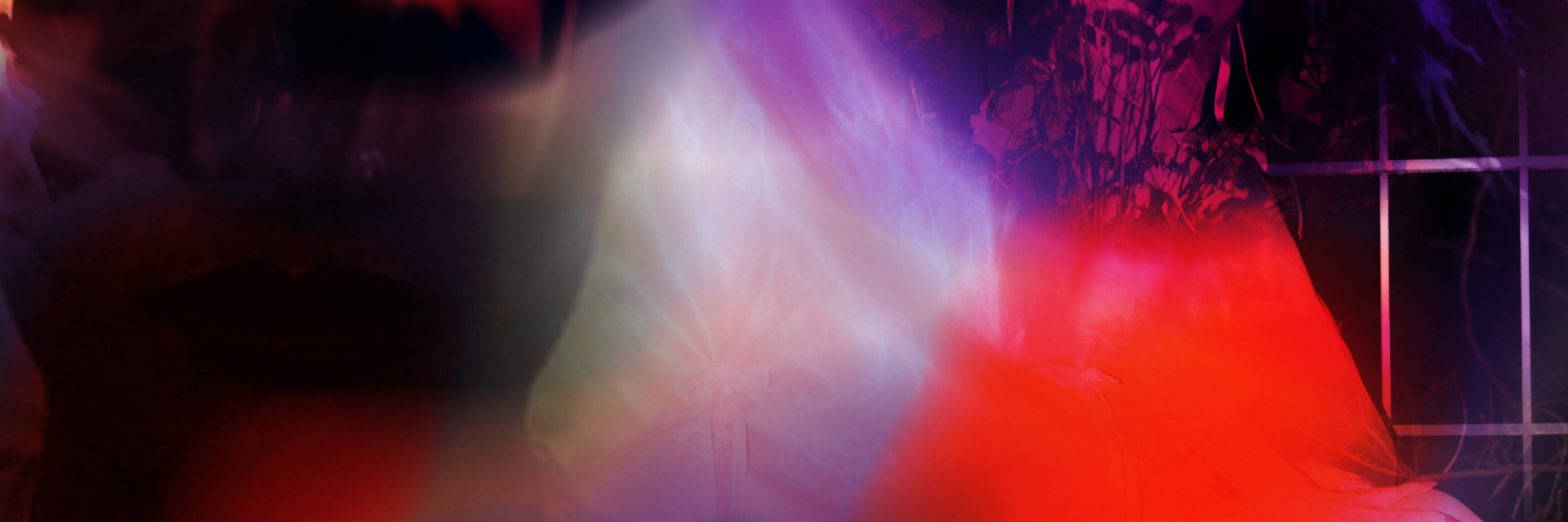 Abstraktes Symbolbild in den Farben Rot und Lila. Die Fl&auml;chen sind teils verwischt, im Hintergrund sind die Formen von Pflanzen sichtbar.